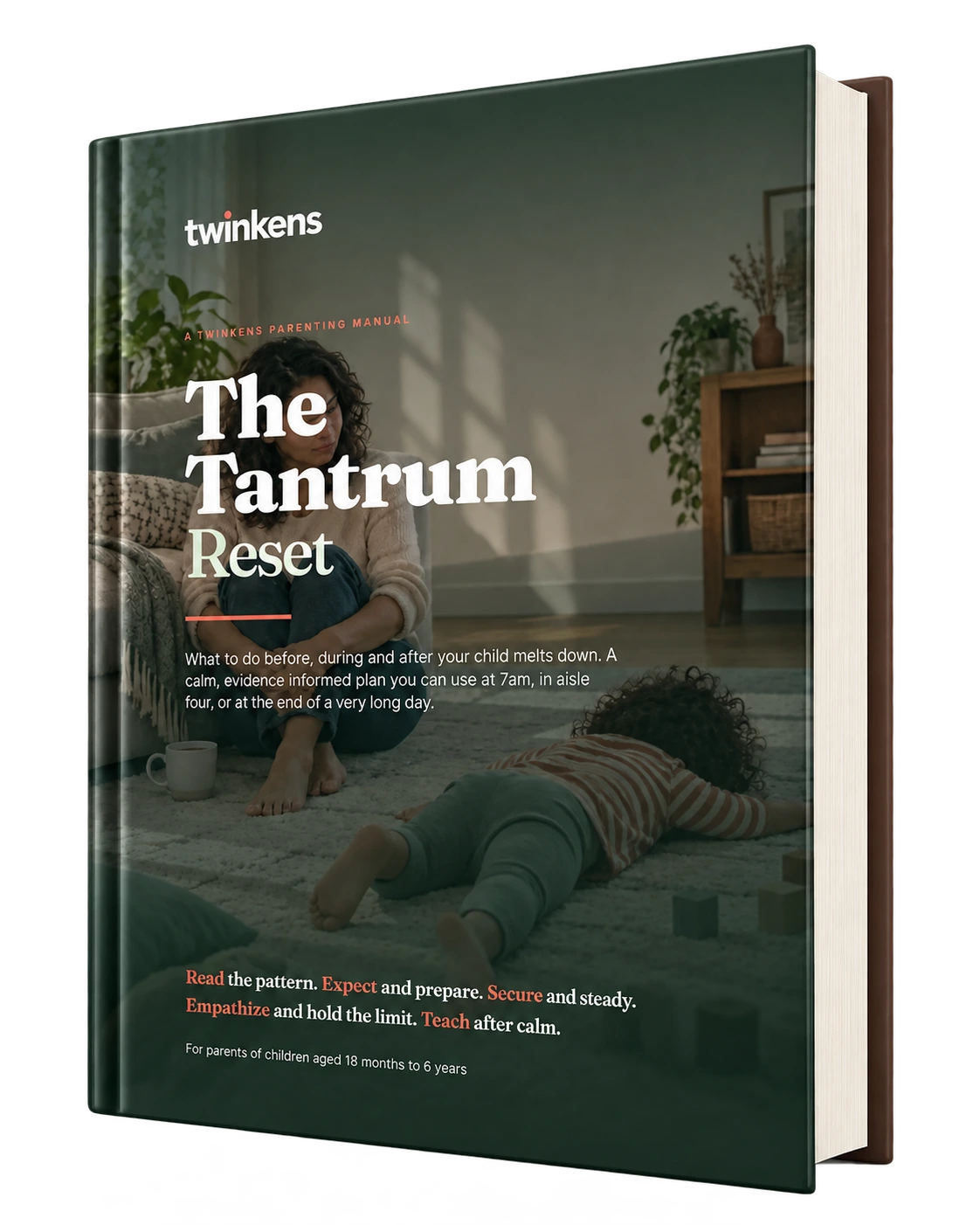 The Tantrum Reset